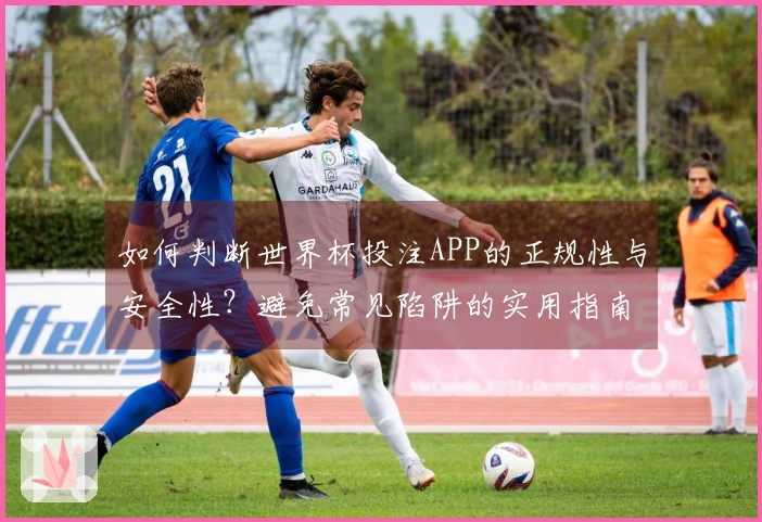 如何判断世界杯投注APP的正规性与安全性？避免常见陷阱的实用指南