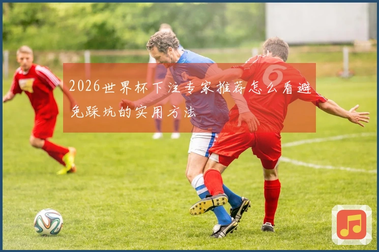 2026世界杯下注专家推荐怎么看避免踩坑的实用方法