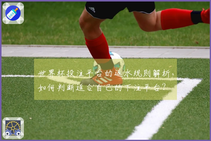 世界杯投注平台的返水规则解析，如何判断适合自己的下注平台？