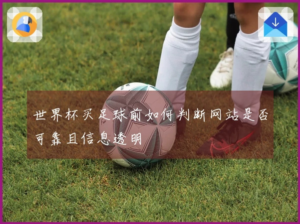 世界杯买足球前如何判断网站是否可靠且信息透明