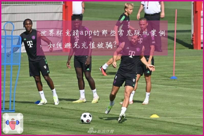 世界杯竞猜app的那些常见踩坑案例，如何避免充值被骗？