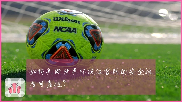 如何判断世界杯投注官网的安全性与可靠性？