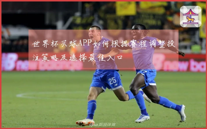 世界杯买球APP如何根据赛程调整投注策略及选择最佳入口
