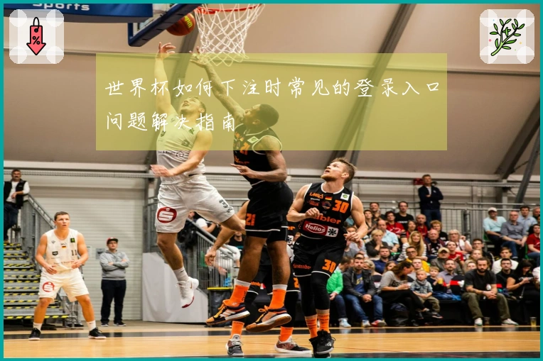 世界杯如何下注时常见的登录入口问题解决指南