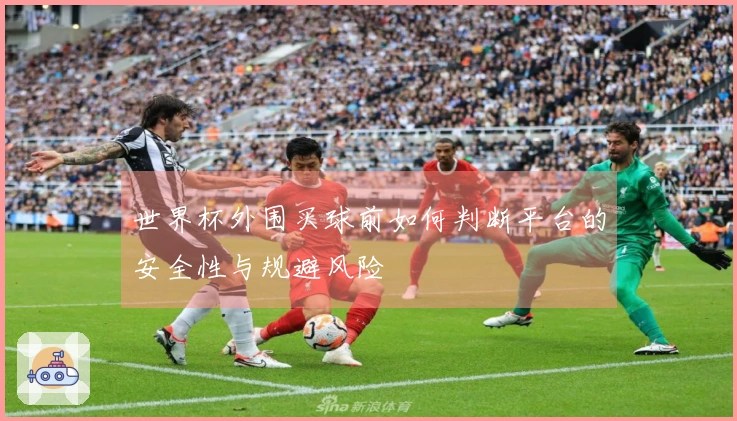世界杯外围买球前如何判断平台的安全性与规避风险