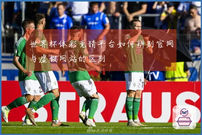世界杯体彩竞猜平台如何辨别官网与虚假网站的区别
