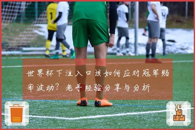 世界杯下注入口该如何应对冠军赔率波动？老手经验分享与分析
