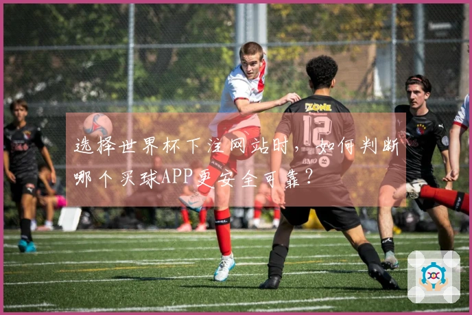 选择世界杯下注网站时，如何判断哪个买球APP更安全可靠？