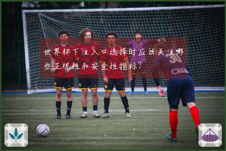世界杯下注入口选择时应该关注哪些正规性和安全性指标？