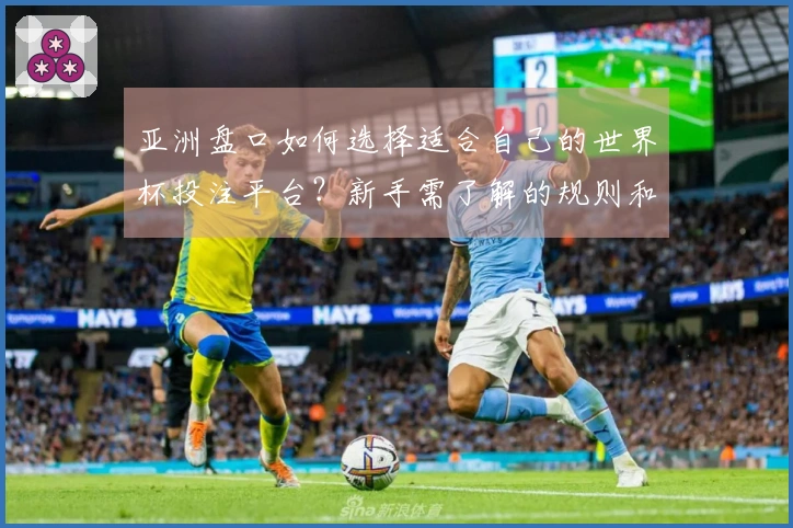 亚洲盘口如何选择适合自己的世界杯投注平台？新手需了解的规则和注意事项