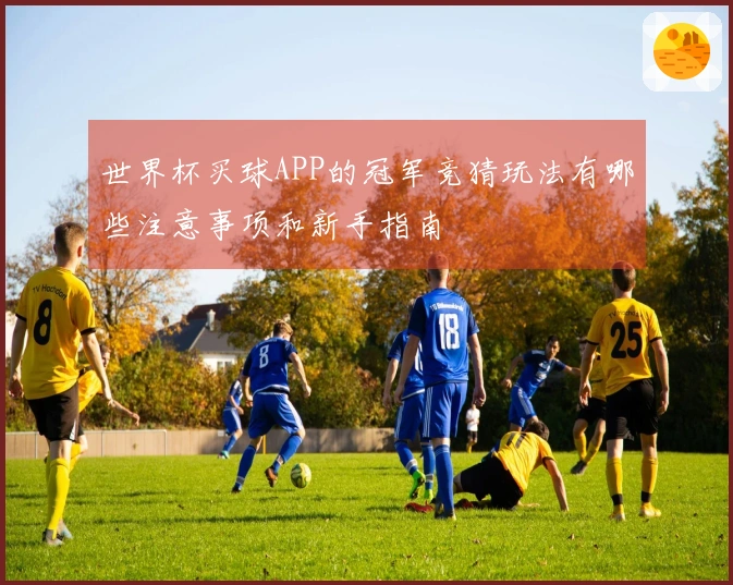 世界杯买球APP的冠军竞猜玩法有哪些注意事项和新手指南