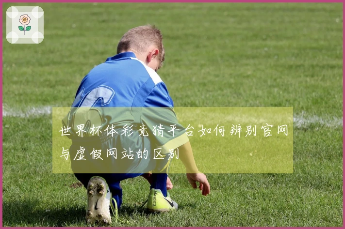 世界杯体彩竞猜平台如何辨别官网与虚假网站的区别