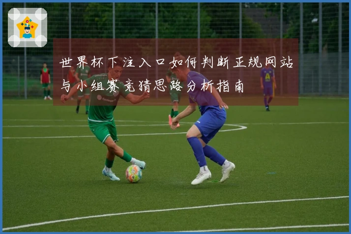 世界杯下注入口如何判断正规网站与小组赛竞猜思路分析指南