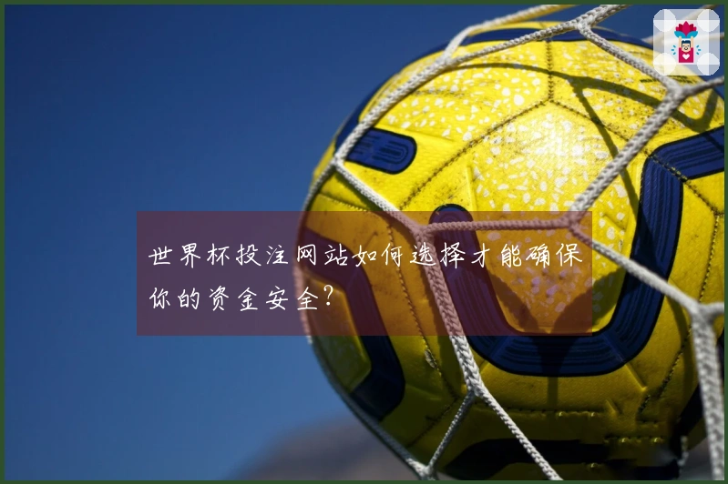 世界杯投注网站如何选择才能确保你的资金安全？