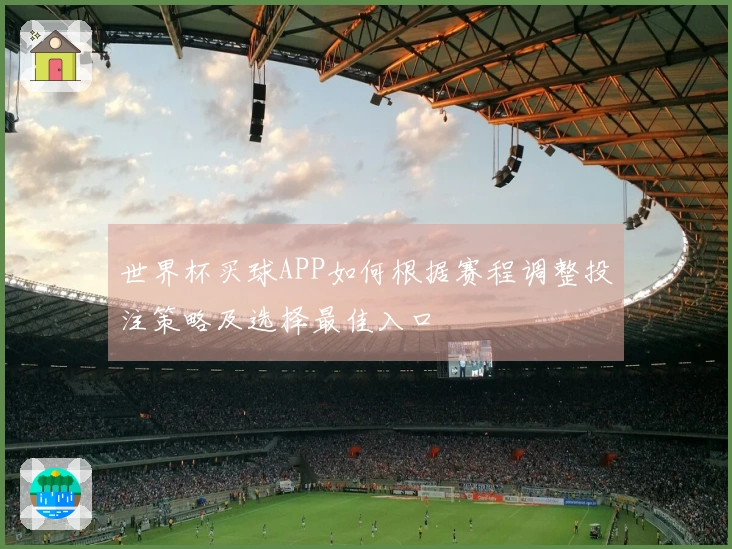 世界杯买球APP如何根据赛程调整投注策略及选择最佳入口
