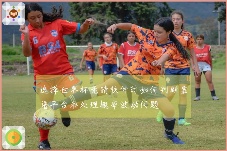 选择世界杯竞猜软件时如何判断靠谱平台和处理概率波动问题
