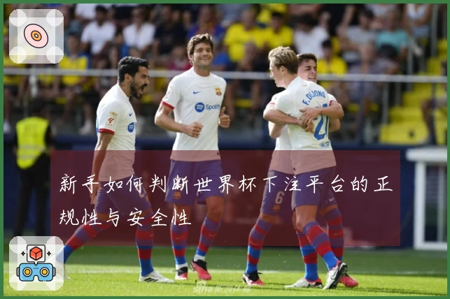 新手如何判断世界杯下注平台的正规性与安全性