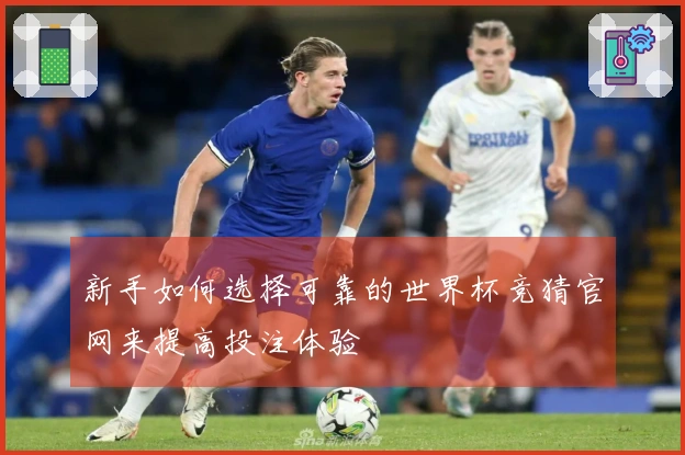新手如何选择可靠的世界杯竞猜官网来提高投注体验
