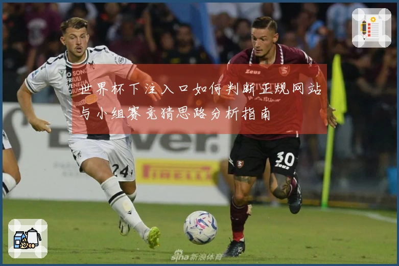 世界杯下注入口如何判断正规网站与小组赛竞猜思路分析指南