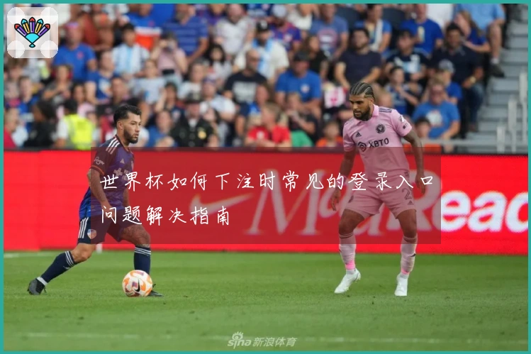 世界杯如何下注时常见的登录入口问题解决指南