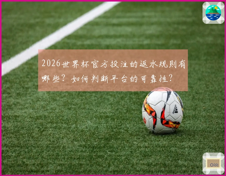 2026世界杯官方投注的返水规则有哪些？如何判断平台的可靠性？
