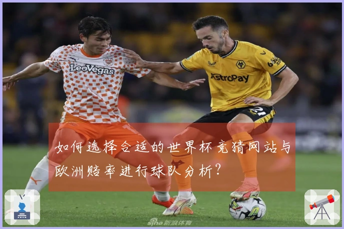 如何选择合适的世界杯竞猜网站与欧洲赔率进行球队分析？