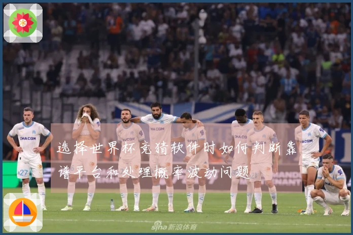 选择世界杯竞猜软件时如何判断靠谱平台和处理概率波动问题