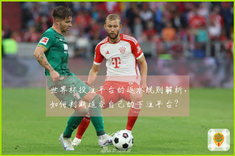 世界杯投注平台的返水规则解析，如何判断适合自己的下注平台？