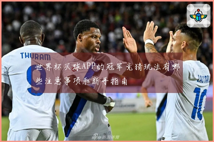 世界杯买球APP的冠军竞猜玩法有哪些注意事项和新手指南