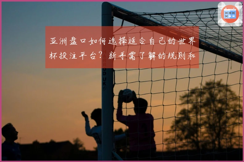 亚洲盘口如何选择适合自己的世界杯投注平台？新手需了解的规则和注意事项