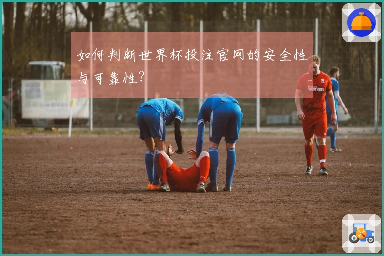 如何判断世界杯投注官网的安全性与可靠性？